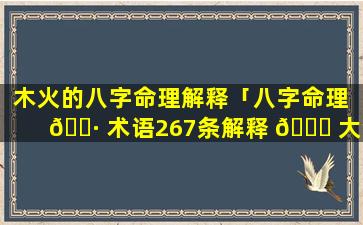 木火的八字命理解释「八字命理 🌷 术语267条解释 🐛 大全」